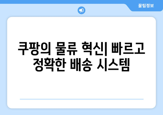 쿠팡 배송의 확고함: 전 세계적인 로지스틱스 리더