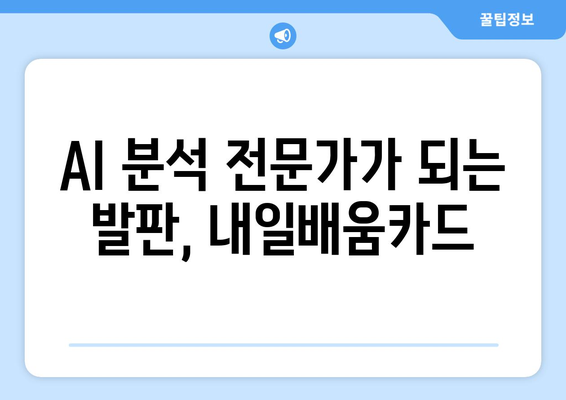 국비 지원 내일배움카드로 개발자, AI 분석 전문가 교육