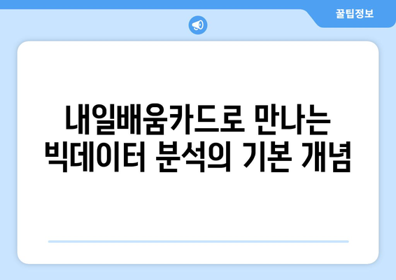 내일배움카드로 들을 수 있는 인기 빅데이터 분석 강좌