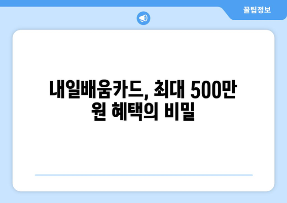 최대 500만 원까지 지원! 내일배움카드로 수강 가능한 명품 강좌 4개