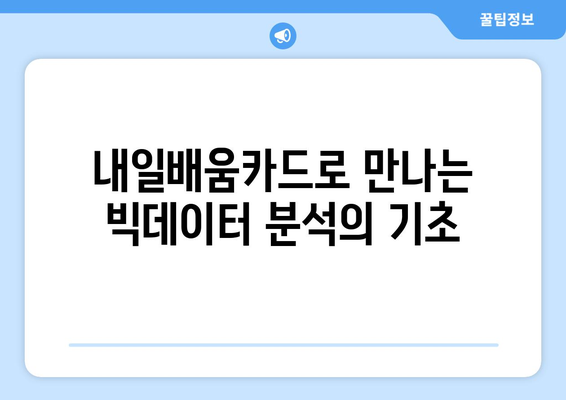 핵심 빅데이터 분석기사 필기 및 실기 과정 - 내일배움카드 지원