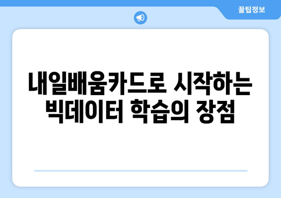 내일배움카드로 빅데이터 분석기사 준비하는 방법| 필수 정보와 팁 | 빅데이터, 직업 교육, 분석 기술