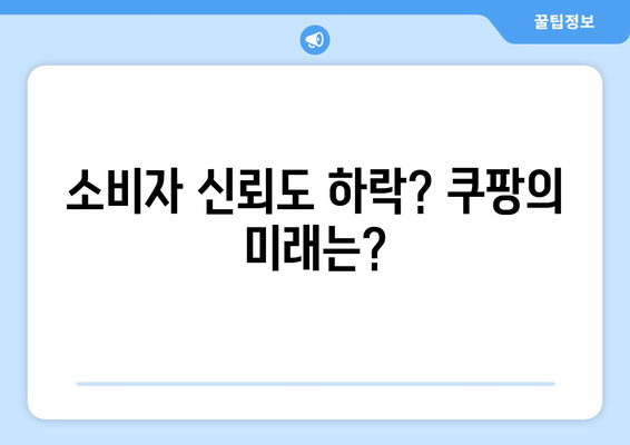 쿠팡에 과징금 1천4백억원 부과| 검색 순위 조작의 대가와 향후 영향 분석 | 쿠팡, 과징금, 검색 최적화"