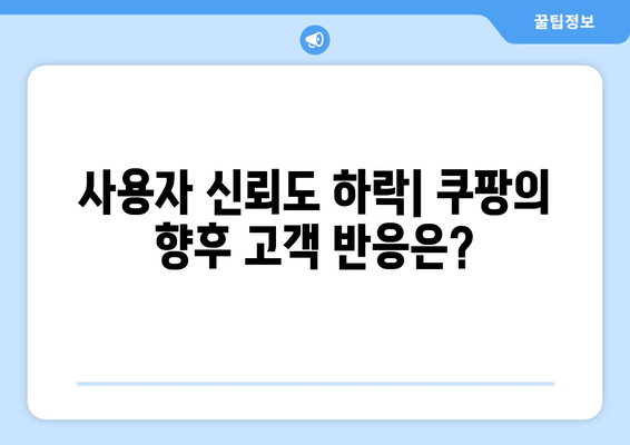 쿠팡 검색 결과 순위 조작으로 1억 200만 달러 벌금! 그 배경과 향후 영향은? | 쿠팡, 벌금, 검색 최적화