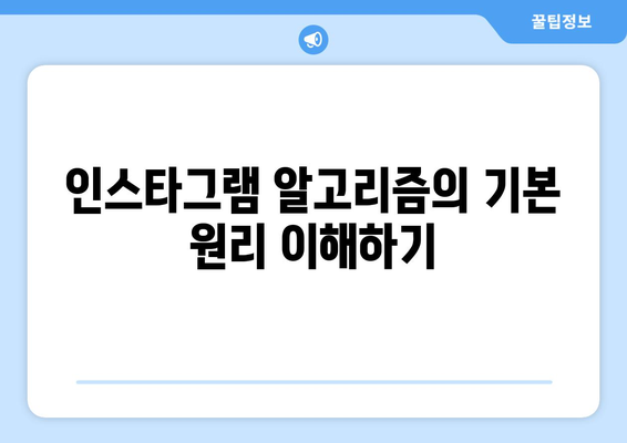 인스타그램 상위 노출 알고리즘의 원리와 최적화 팁 | 인스타그램, 알고리즘, 소셜 미디어 마케팅